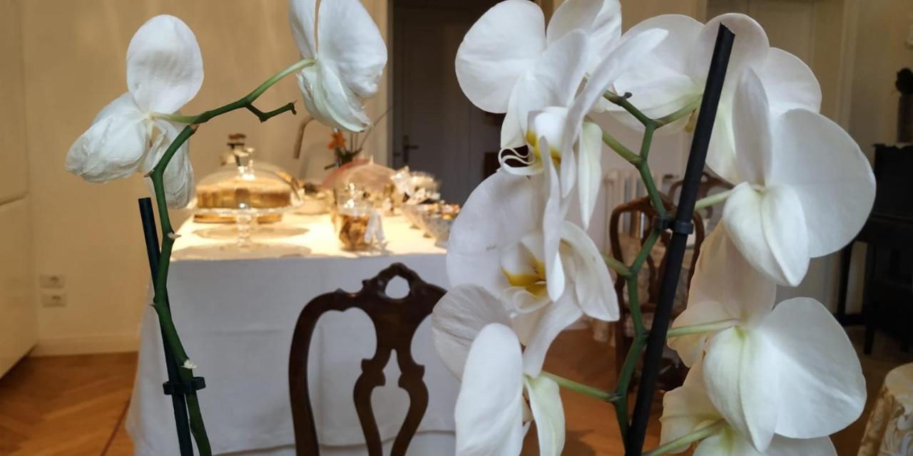La Belle Coquette Bed and Breakfast Como Buitenkant foto